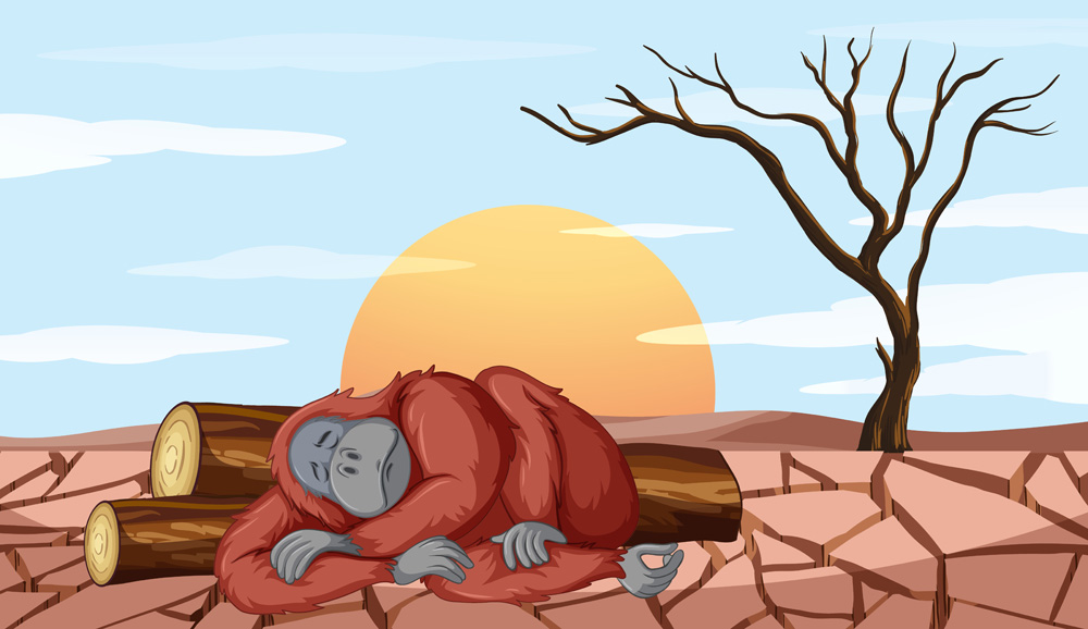 Climate Change and Forests: How Deforestation is Accelerating Global Warming