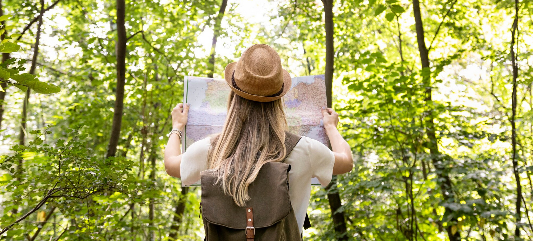 Eco-Tourism: How to Travel Sustainably Without Harm to the Environment